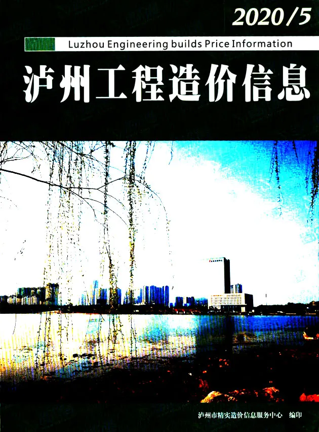 泸州市2020年第5期信息价封面