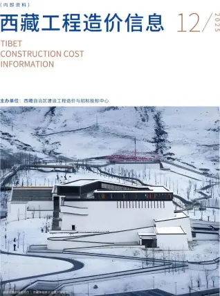 2025年西藏信息价