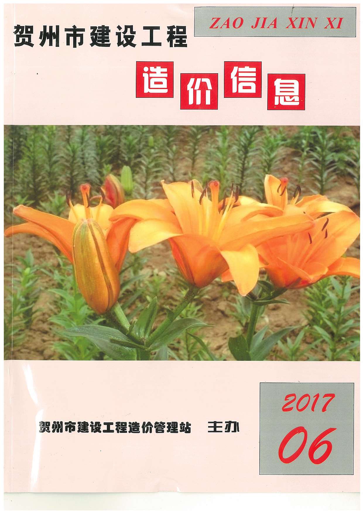 贺州市2017年第6期信息价封面