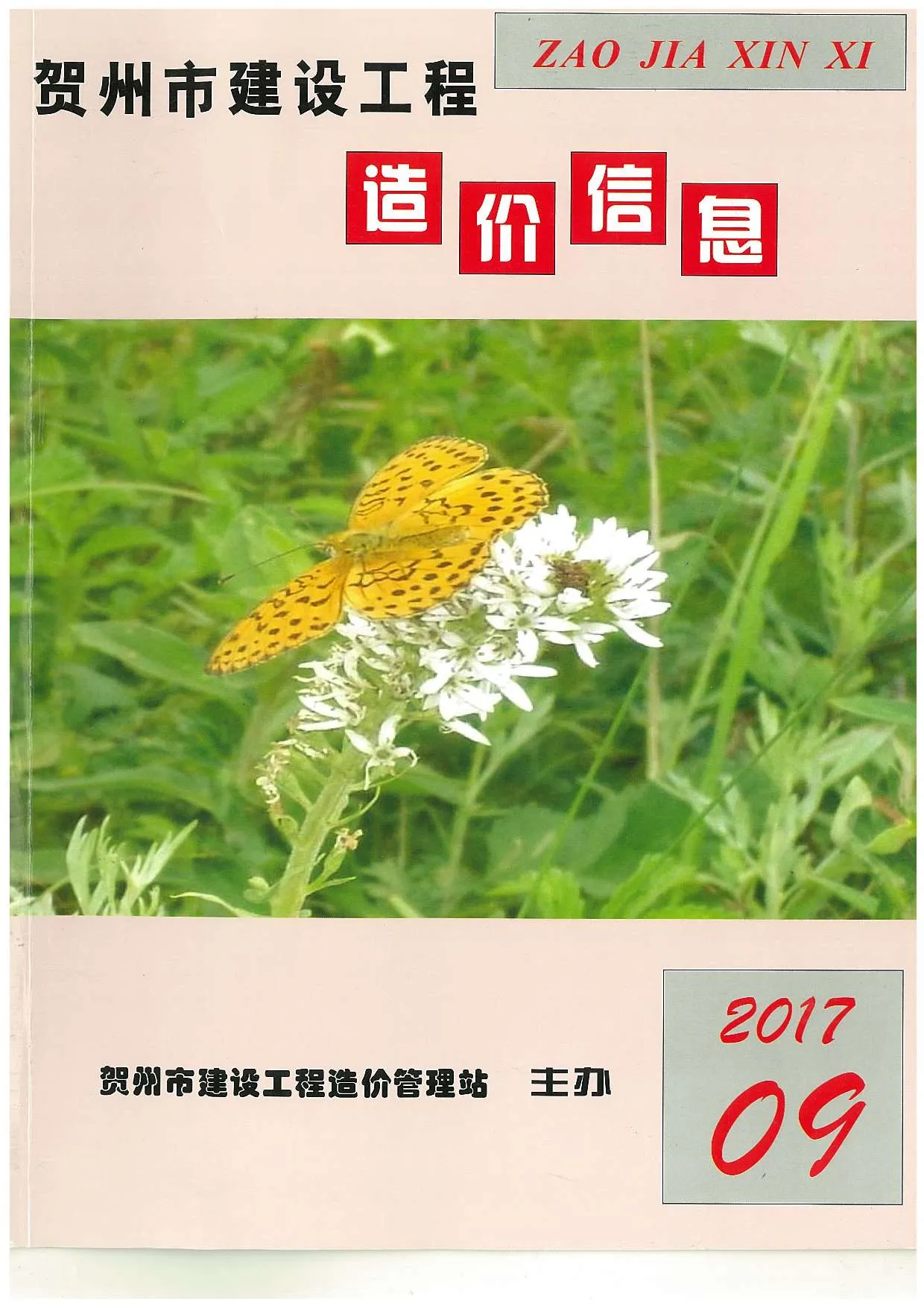2017年9月贺州信息价