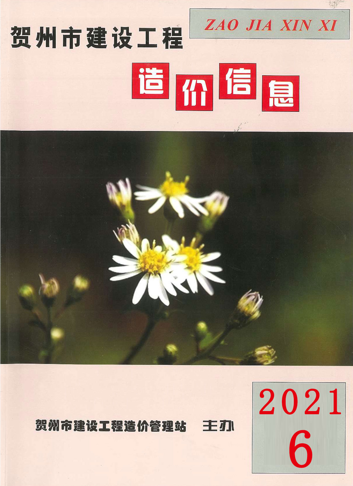 贺州市2021年6月工程信息价_贺州市信息价期刊PDF扫描件电子版