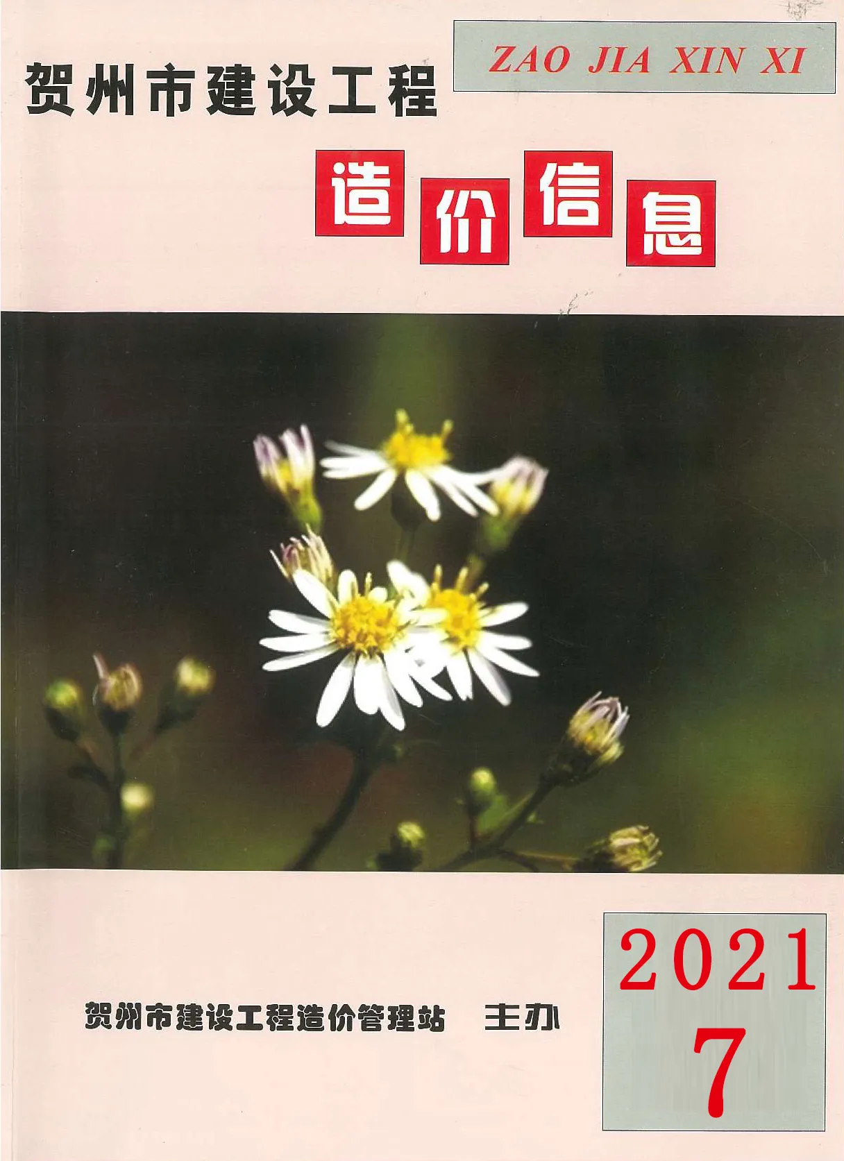 2021年贺州信息价